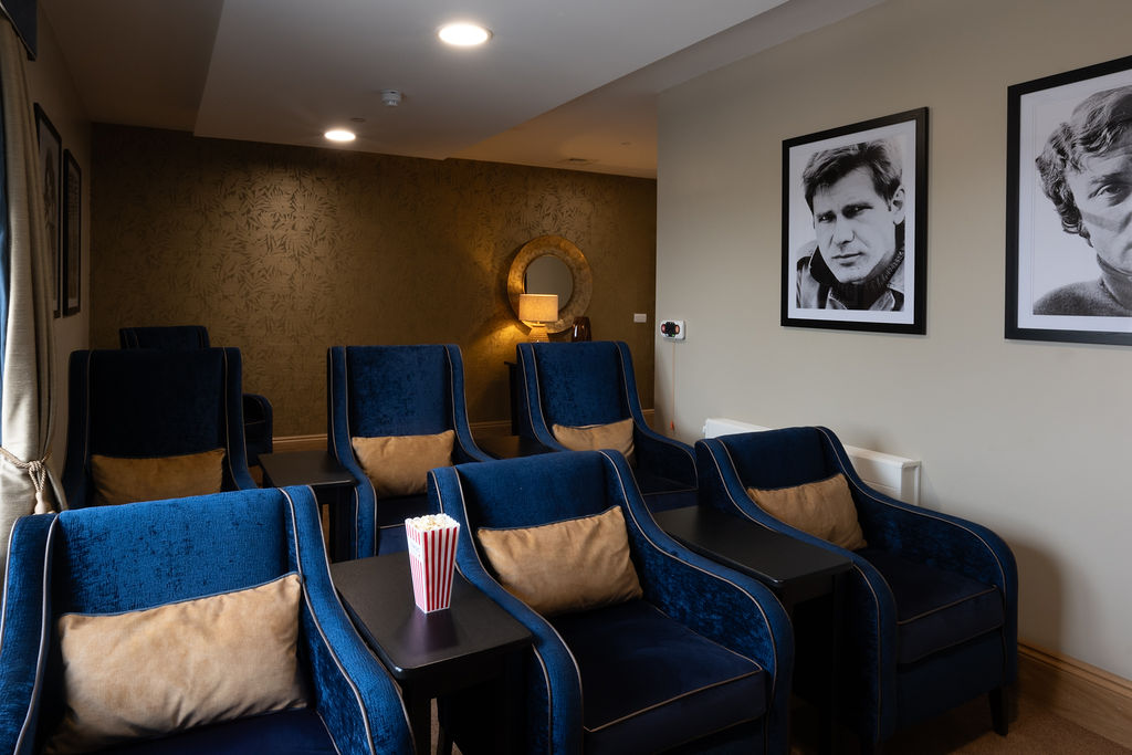 in-house cinema room at lark view