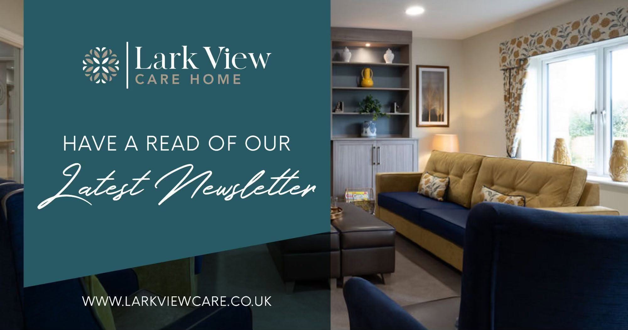 lark-view