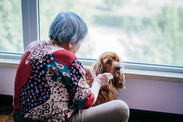 resident stroking a therapy dog in a care home lounge