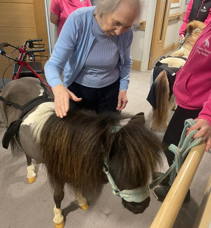 resident with pony