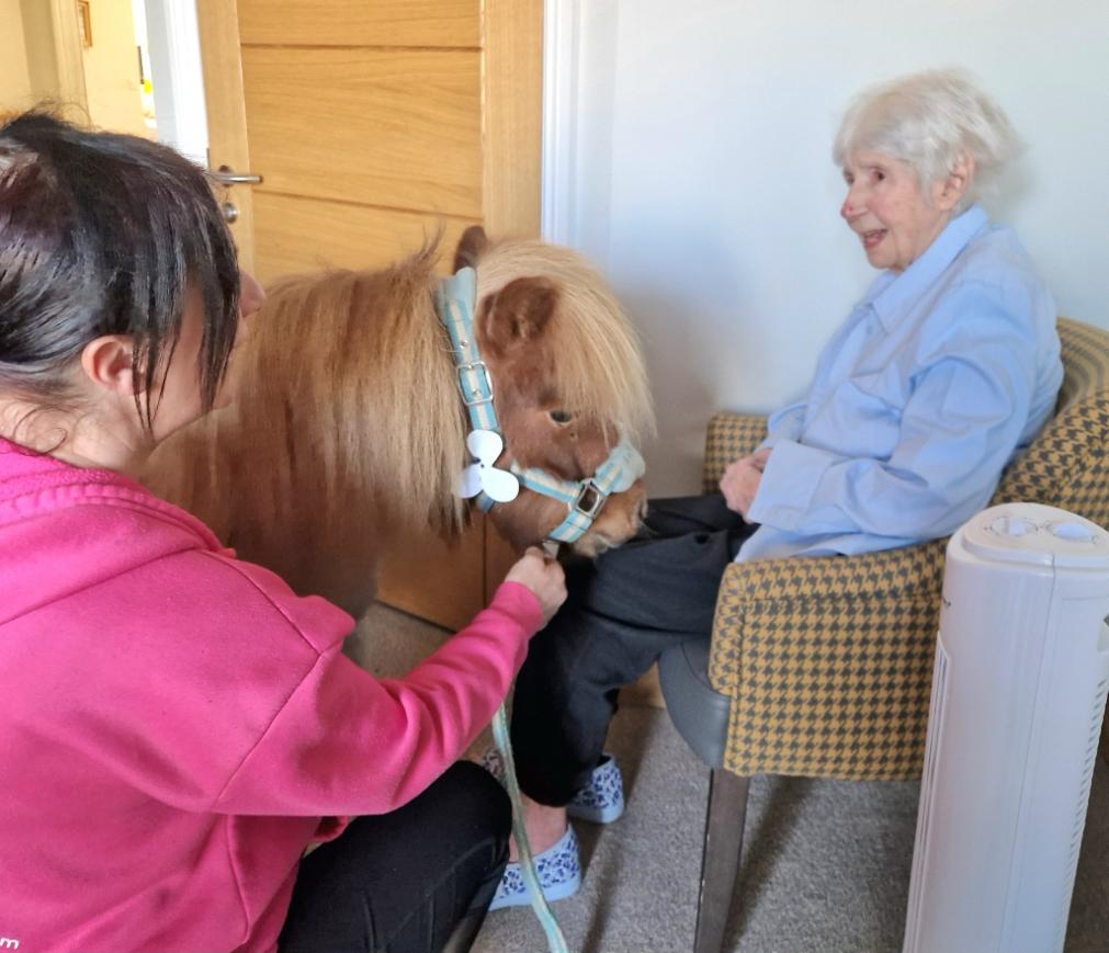 resident with pony