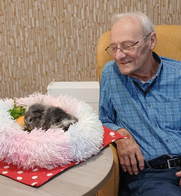 resident with guinea pig
